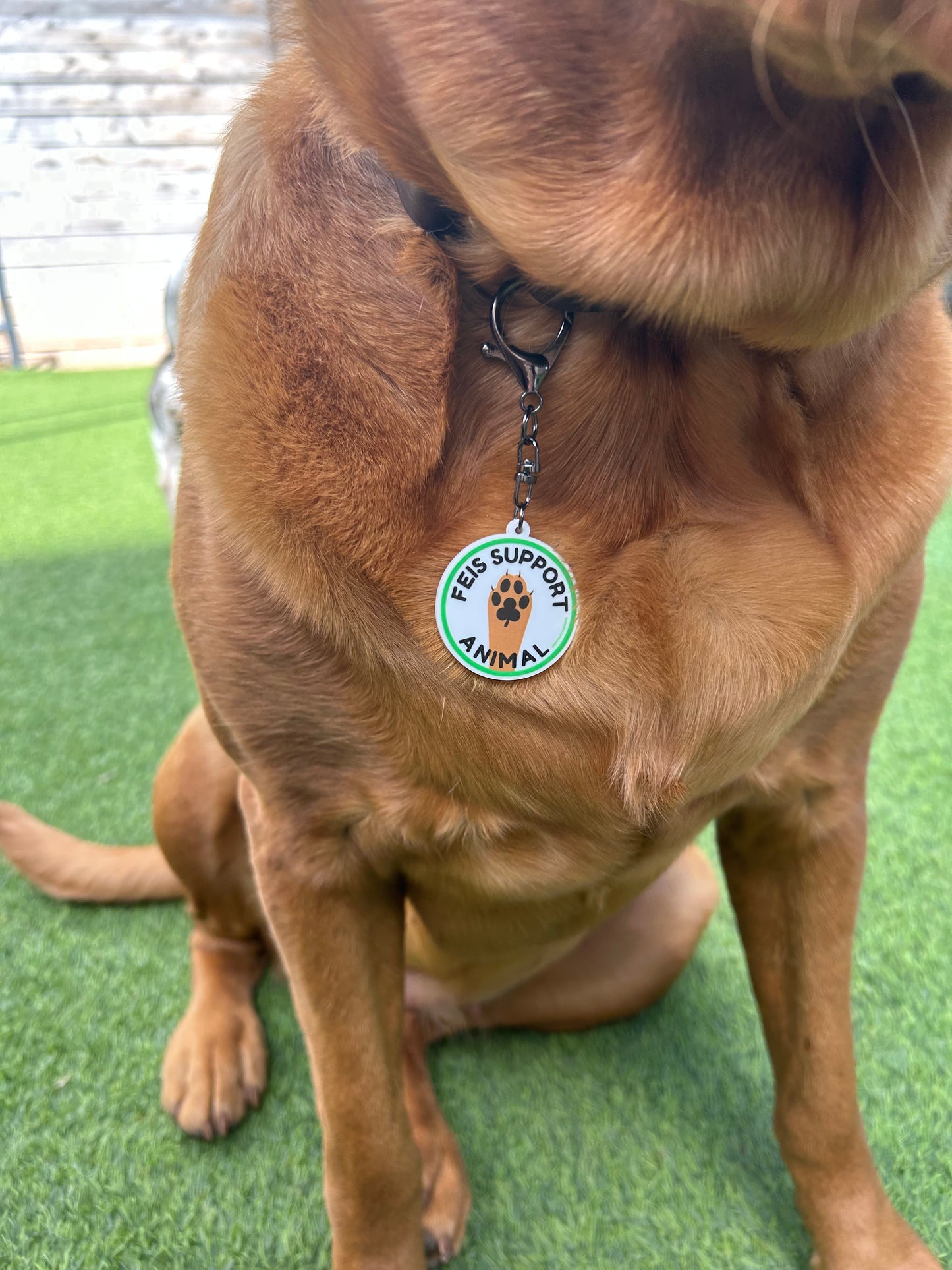 Feis Support Animal Keychain